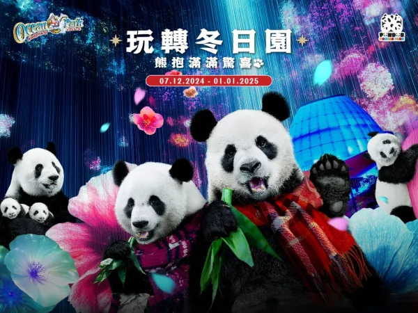 2 Wondrous Winter Gala Tis the Season for Panda Joy