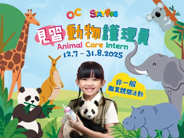 Olympian City x STAYFUN Animal Care Intern