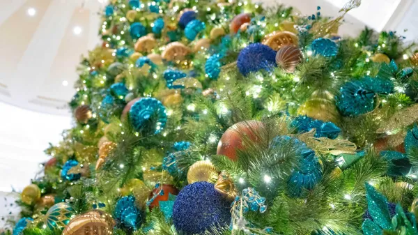 Joey ful Getaway Package