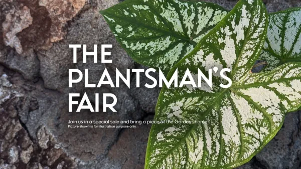 The Plantsmans Fair