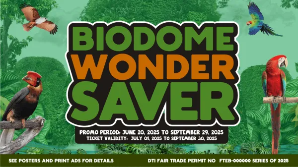 Bidome solo
