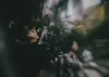 Filipino Instrumentalist Gabba Teams Up with Singaporean Singer Alicia DC
