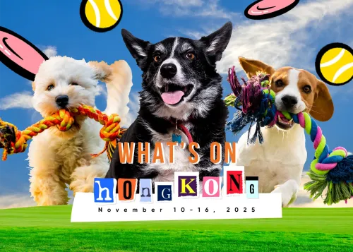 What’s On HKG: Doggo Fest 2025, Happy Wednesday Japanese Festival, & More