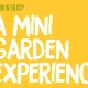 Sayur in the City: A Mini Garden Experience