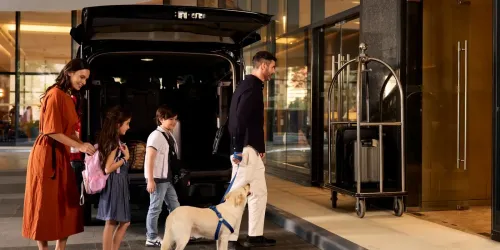 Seda Hotels - PAWFECTLY COMFORTABLE STAYS