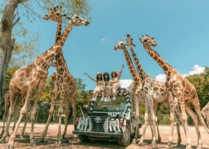 Kanchanaburi Safari Park and River Kwai Bridge Day Tour
