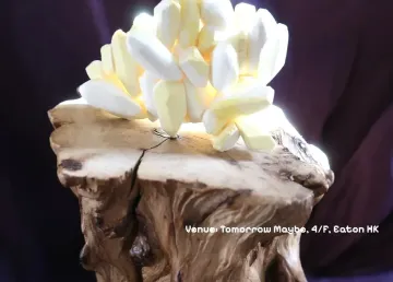 'Decolonising Madness: The Naturally (In)complete Human' Solo Exhibition by Sophie Cheung