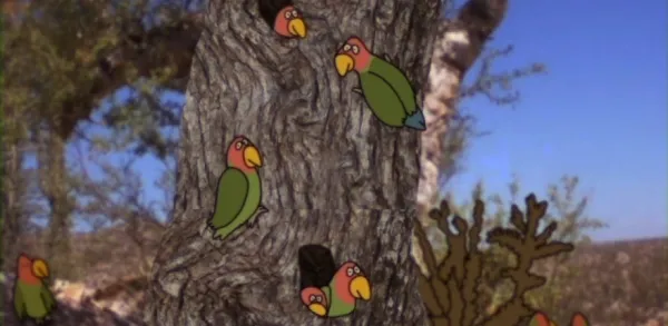 Play Make Break Alternative Voices in Animation