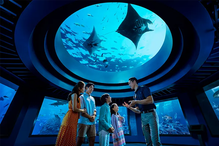 8 Singapore Oceanarium Opening Celebrations