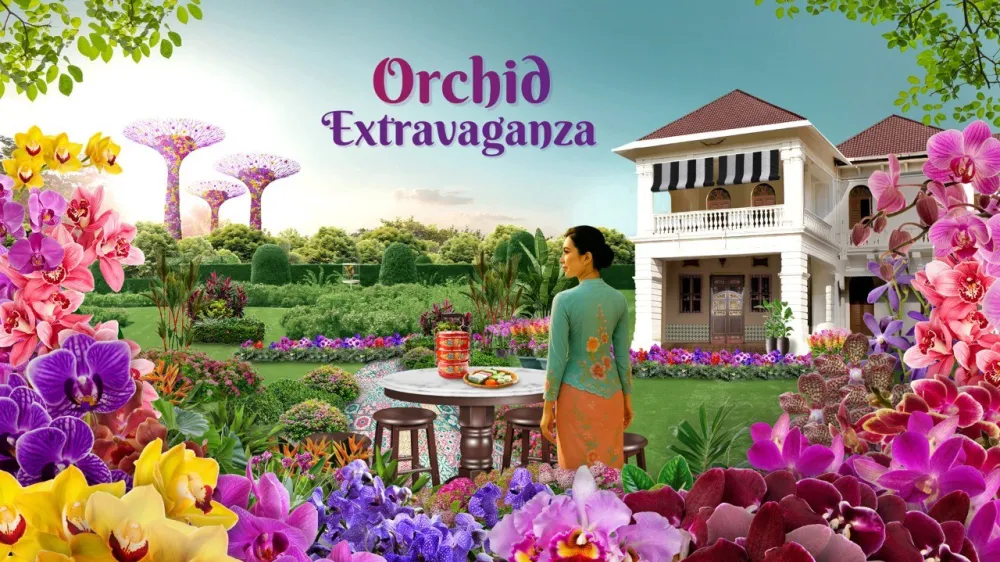 5 Orchid Extravaganza