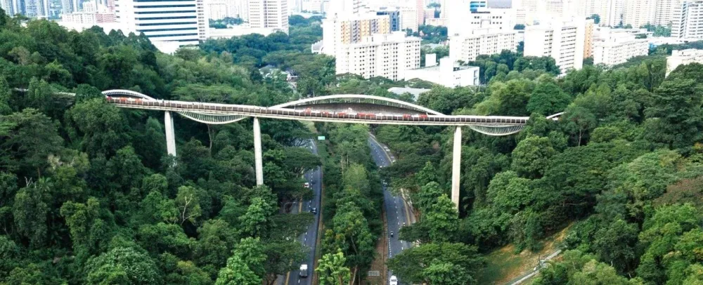 8 Tracing Our Terrain: Land, Legacy and the City in Nature