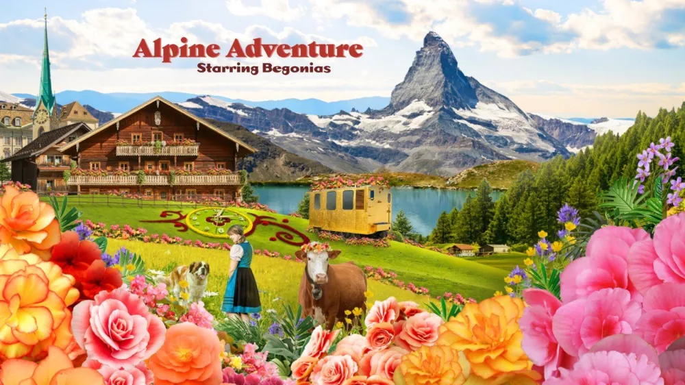 1 Alpine Adventure Starring Begonias