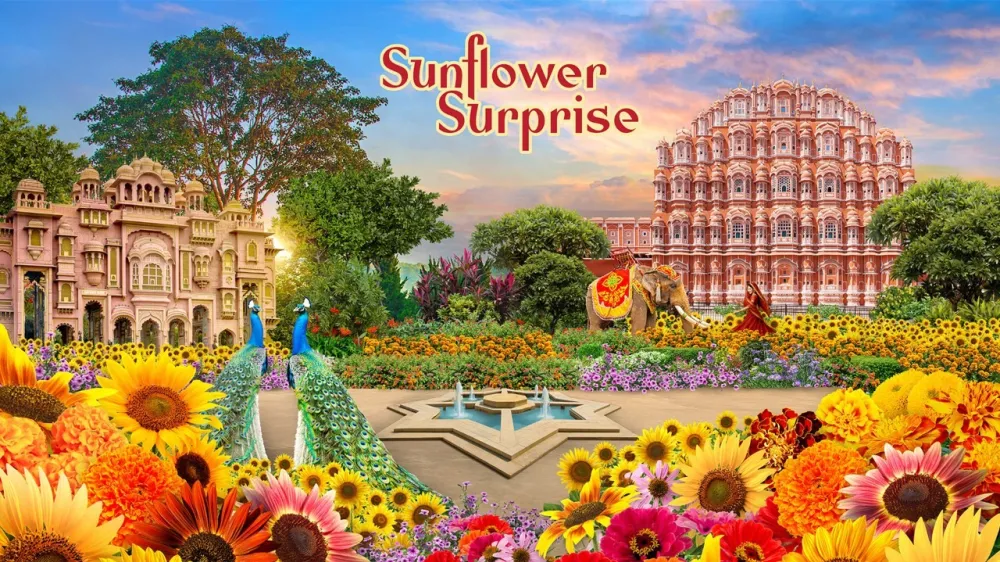 2 Sunflower Surprise