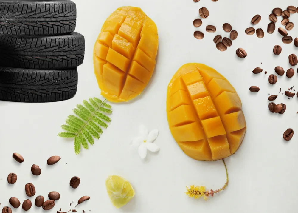 Everything You Need to Know About Coffee 2