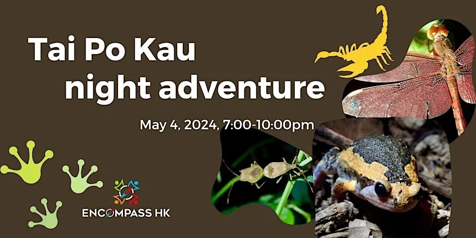 Tai Po Kau Night Adventure in New Territories