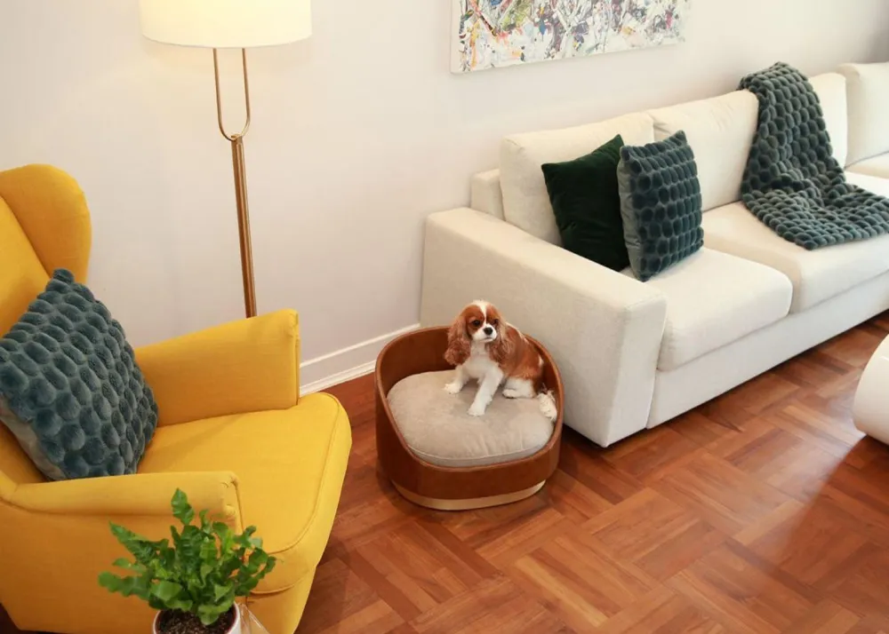 Liebling in Living room