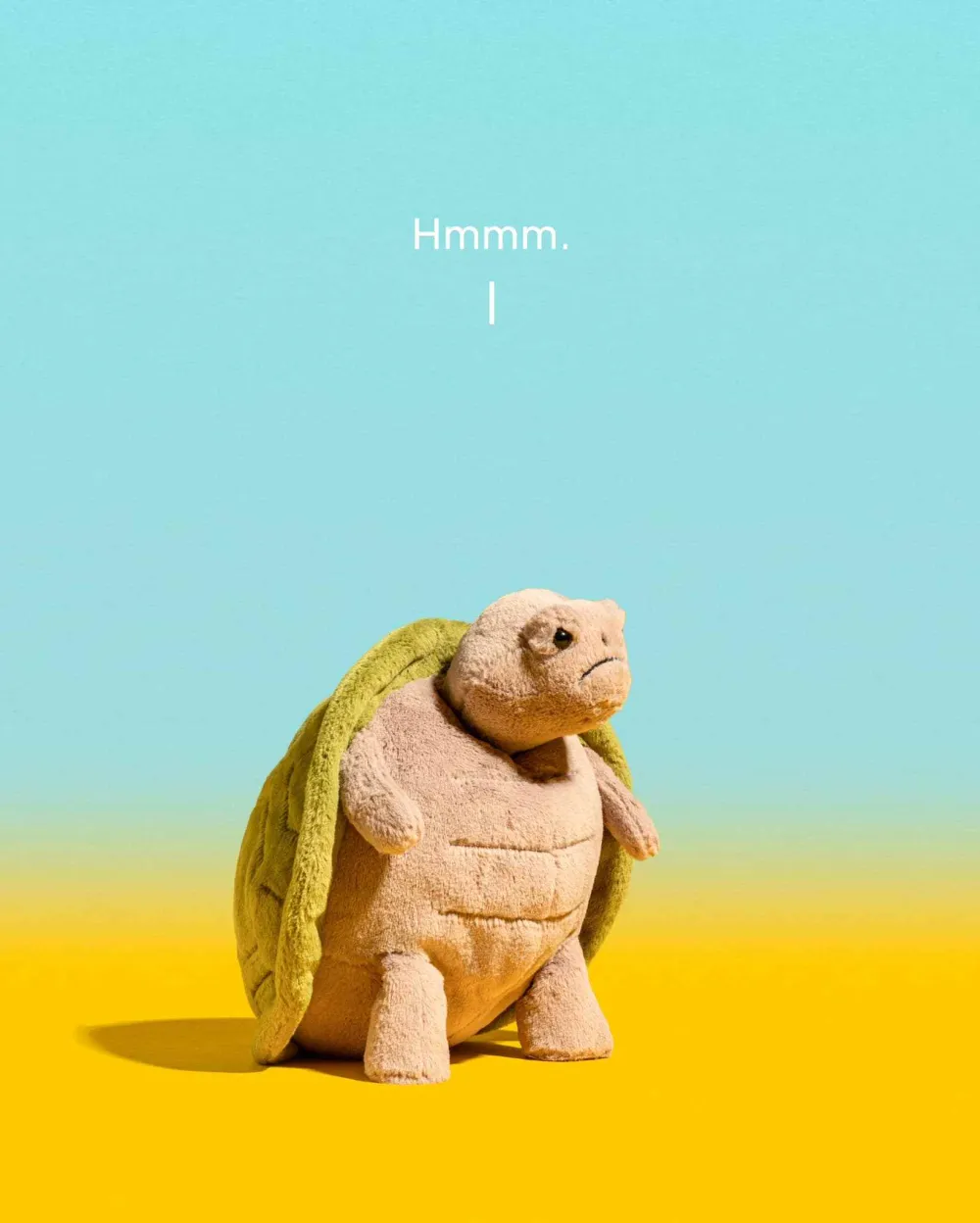 Timmy Turtle