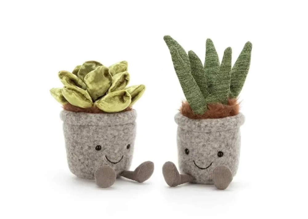 Succulents