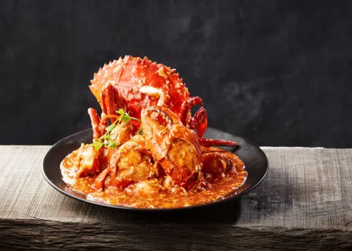 JUMBO Premium Opens at WEAVE in Resorts World Sentosa
