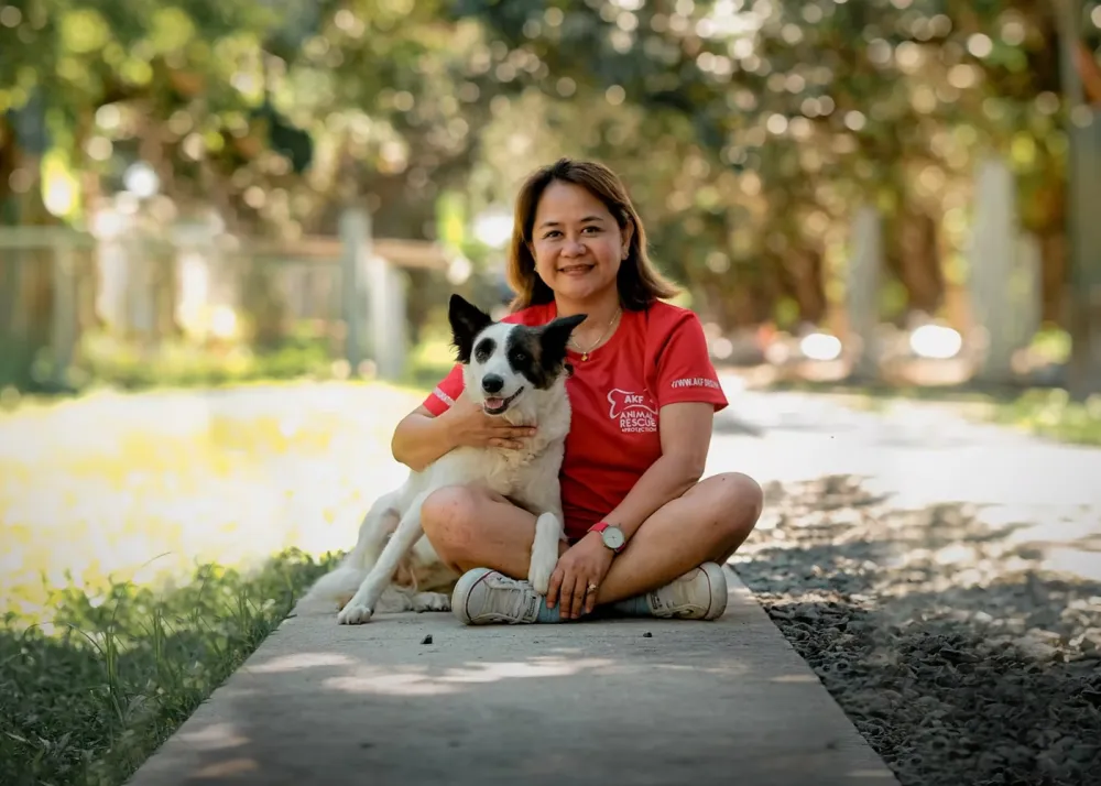 Pet adoption