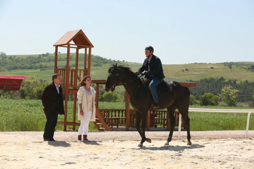 Horse