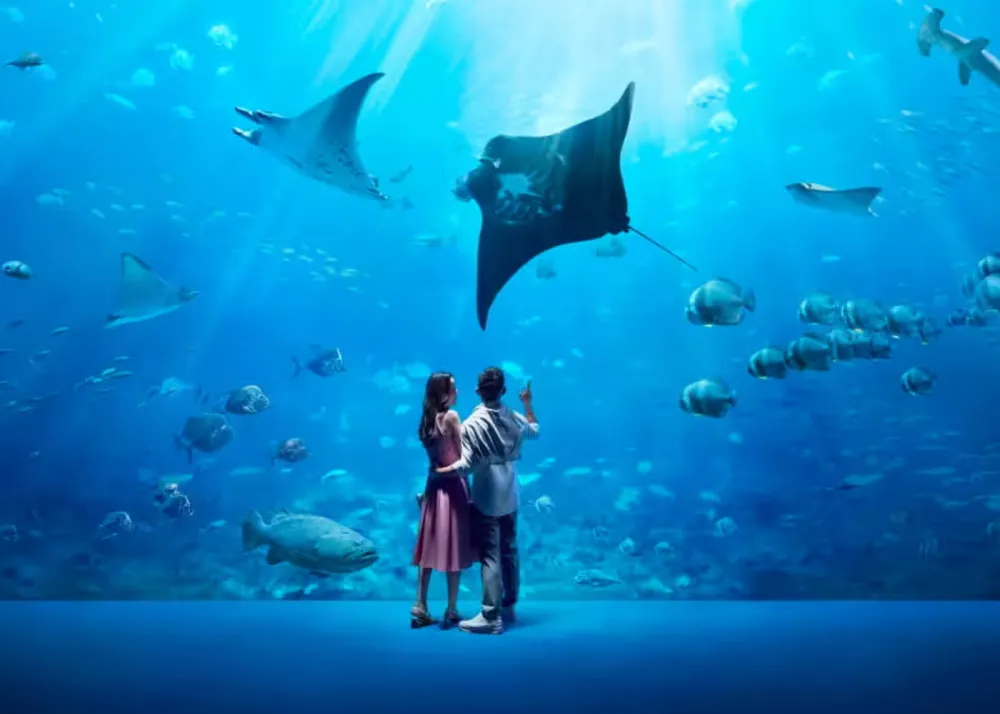 Aquarium