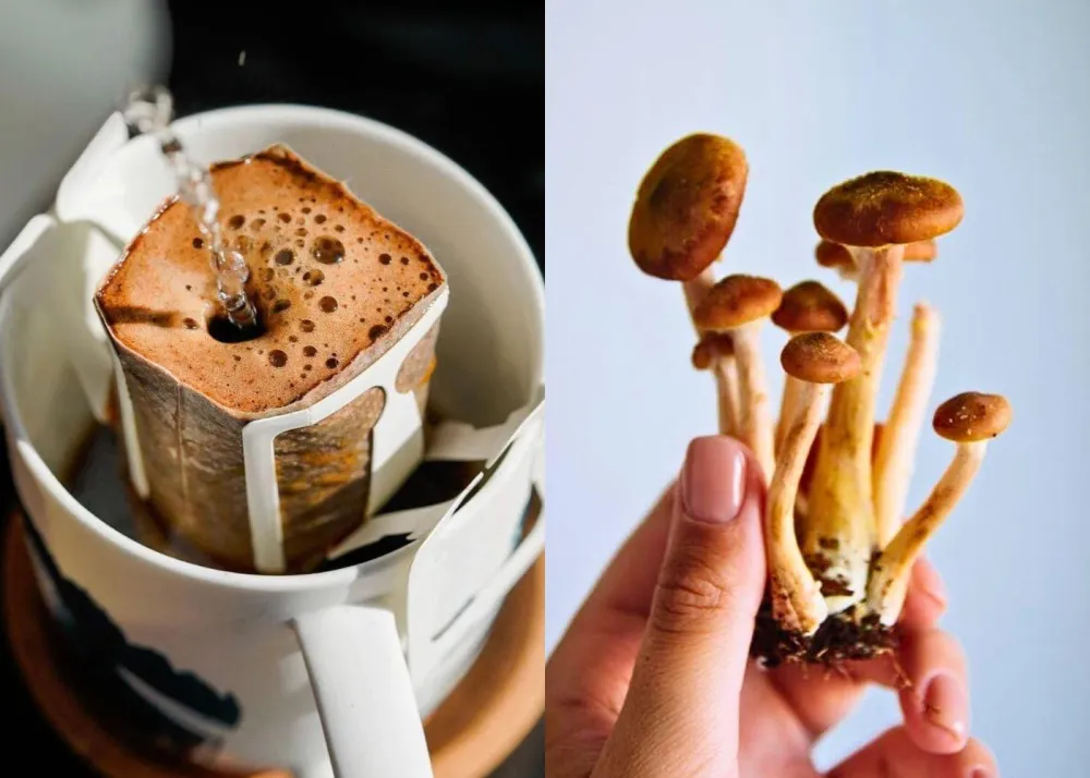 Made From Mushroom's instant coffee