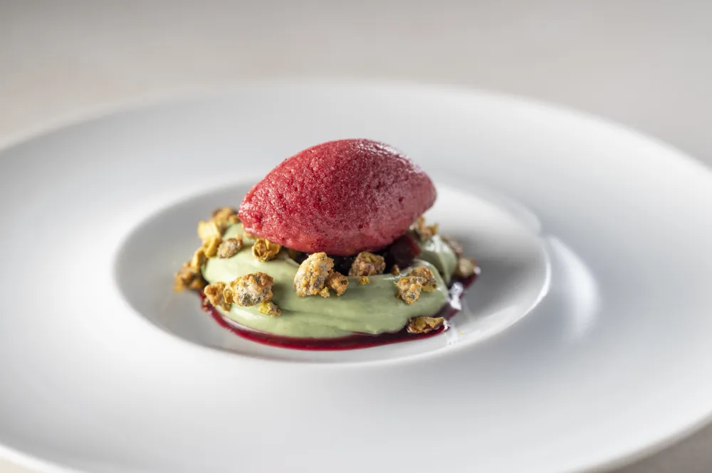 Cherry sorbet