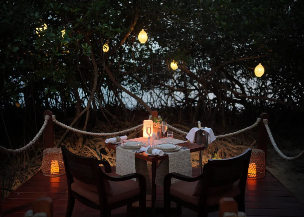 Dining by the Mangroves