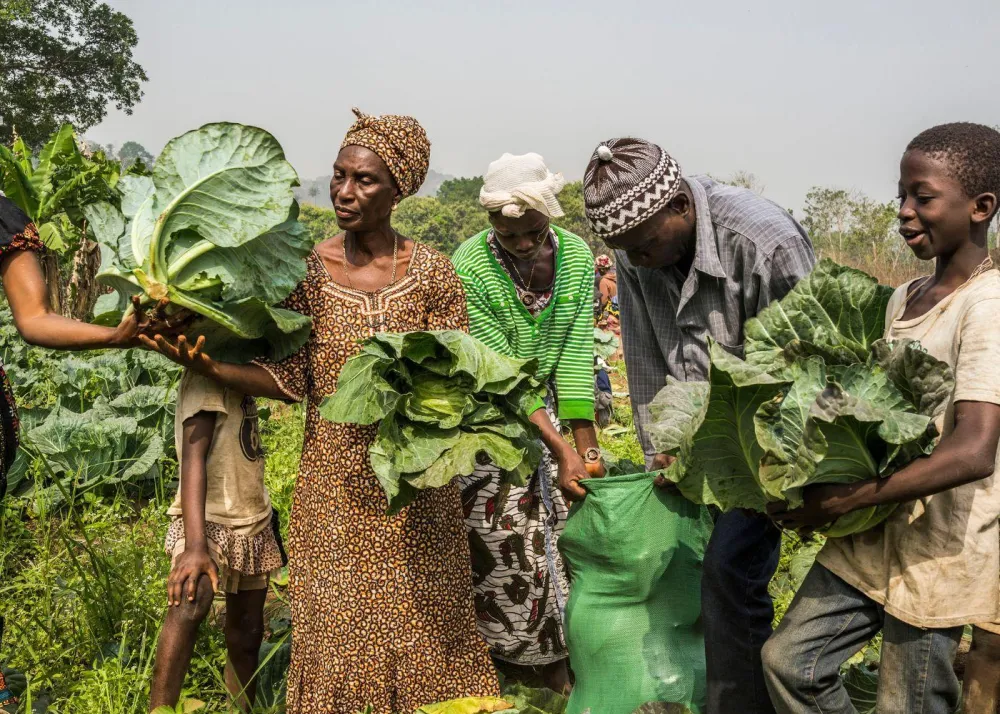 World Food Day 2025