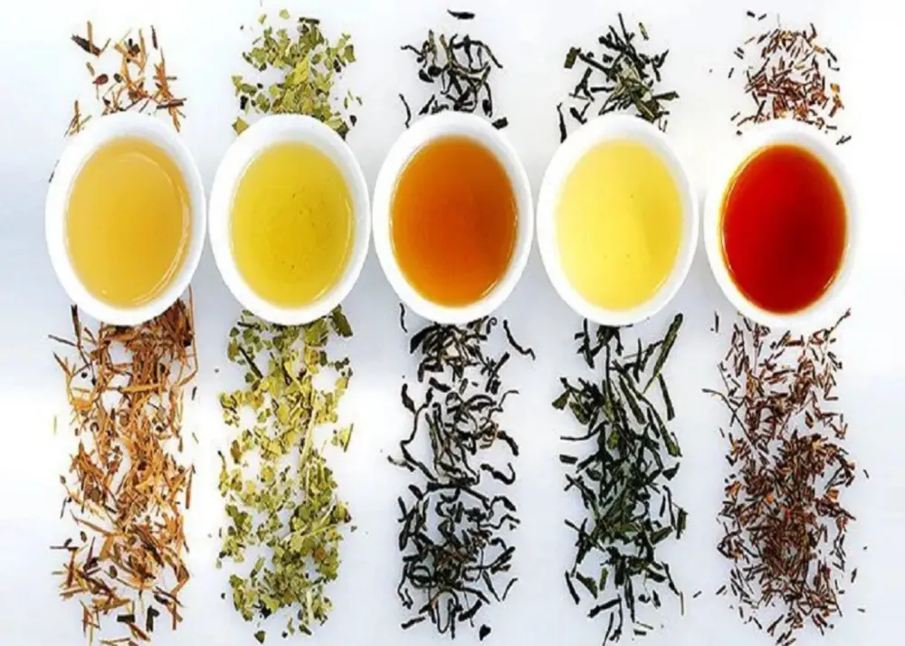 The kinds of tea with dried leaves and a cup