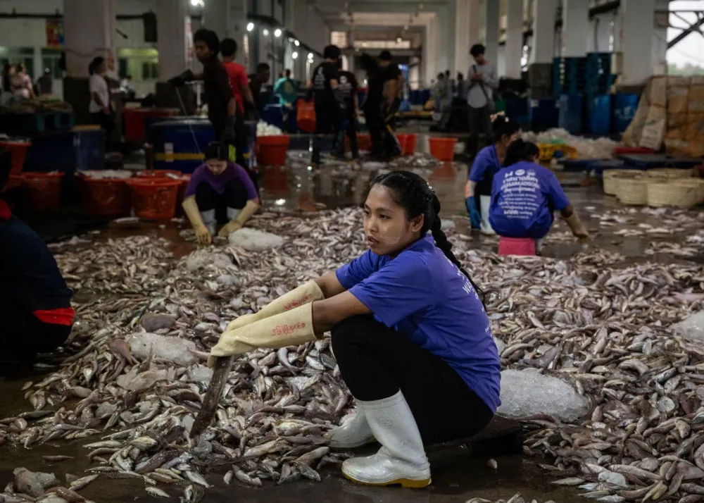 Nicole Tung's nine-month investigation into illegal fishing and labor abuse across Southeast Asia.
