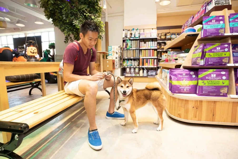 Pet owner