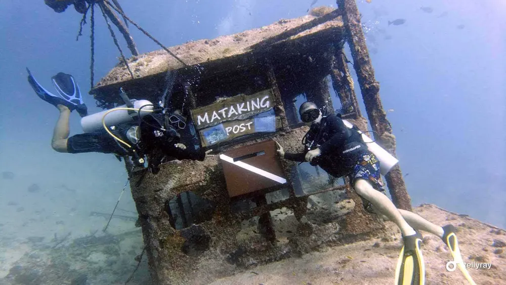 Diving