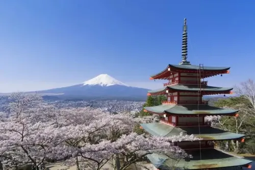 Octopus App Turns Your Japan Vacation into a Smart Experience with PayPay