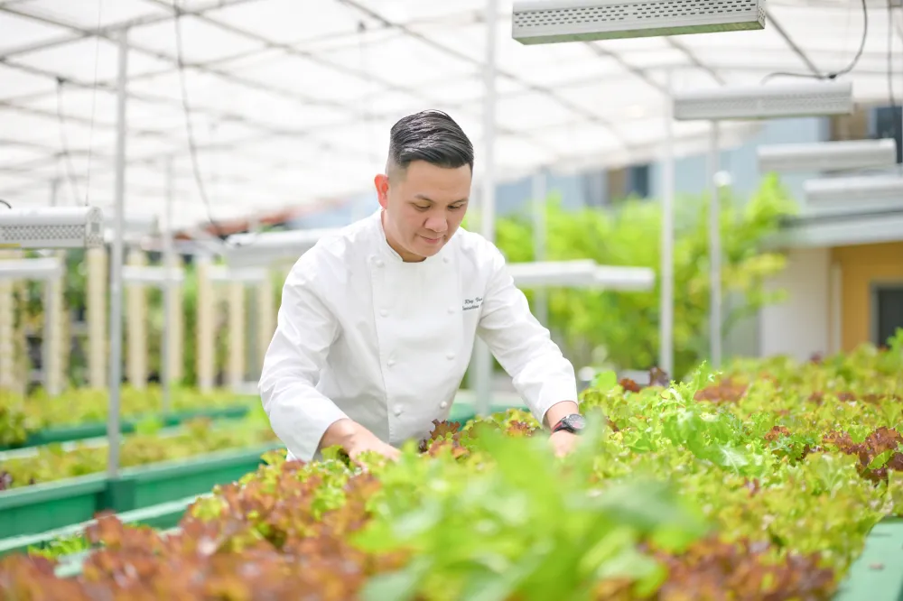 Harvest-to-Table Lunch