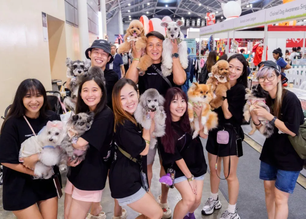 PetExpo Fiesta Cosy Corner
