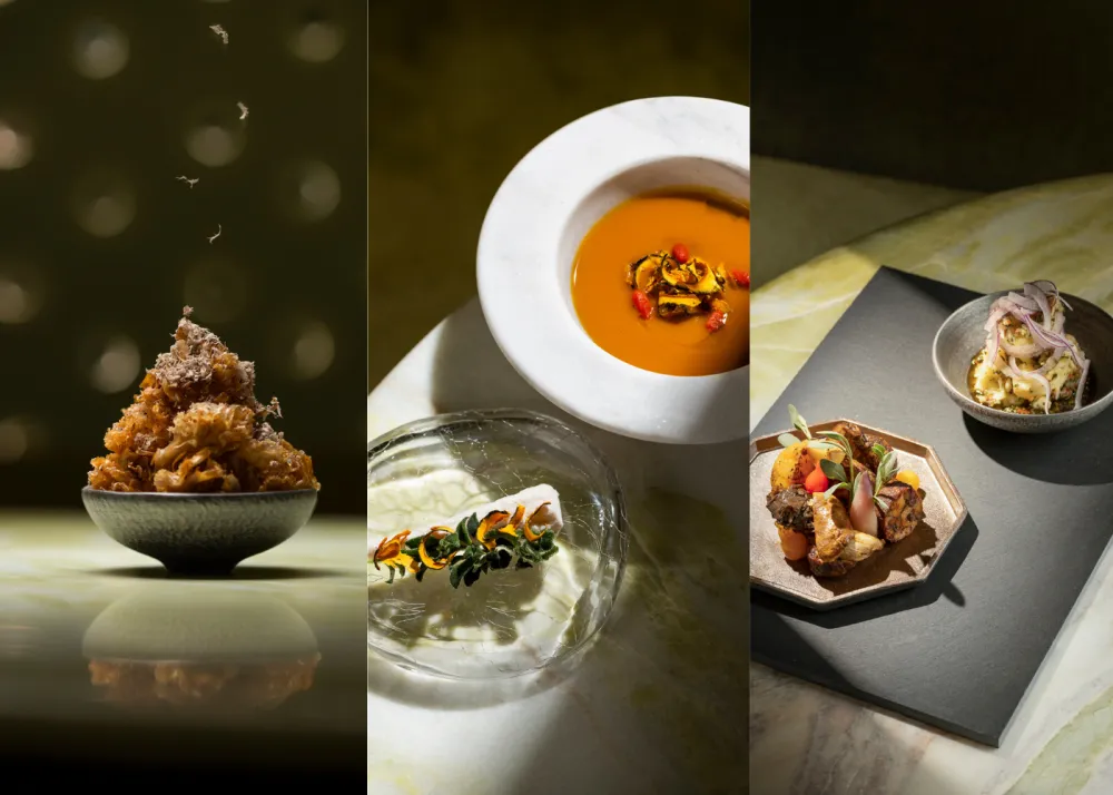 Three fermentation-forward meals