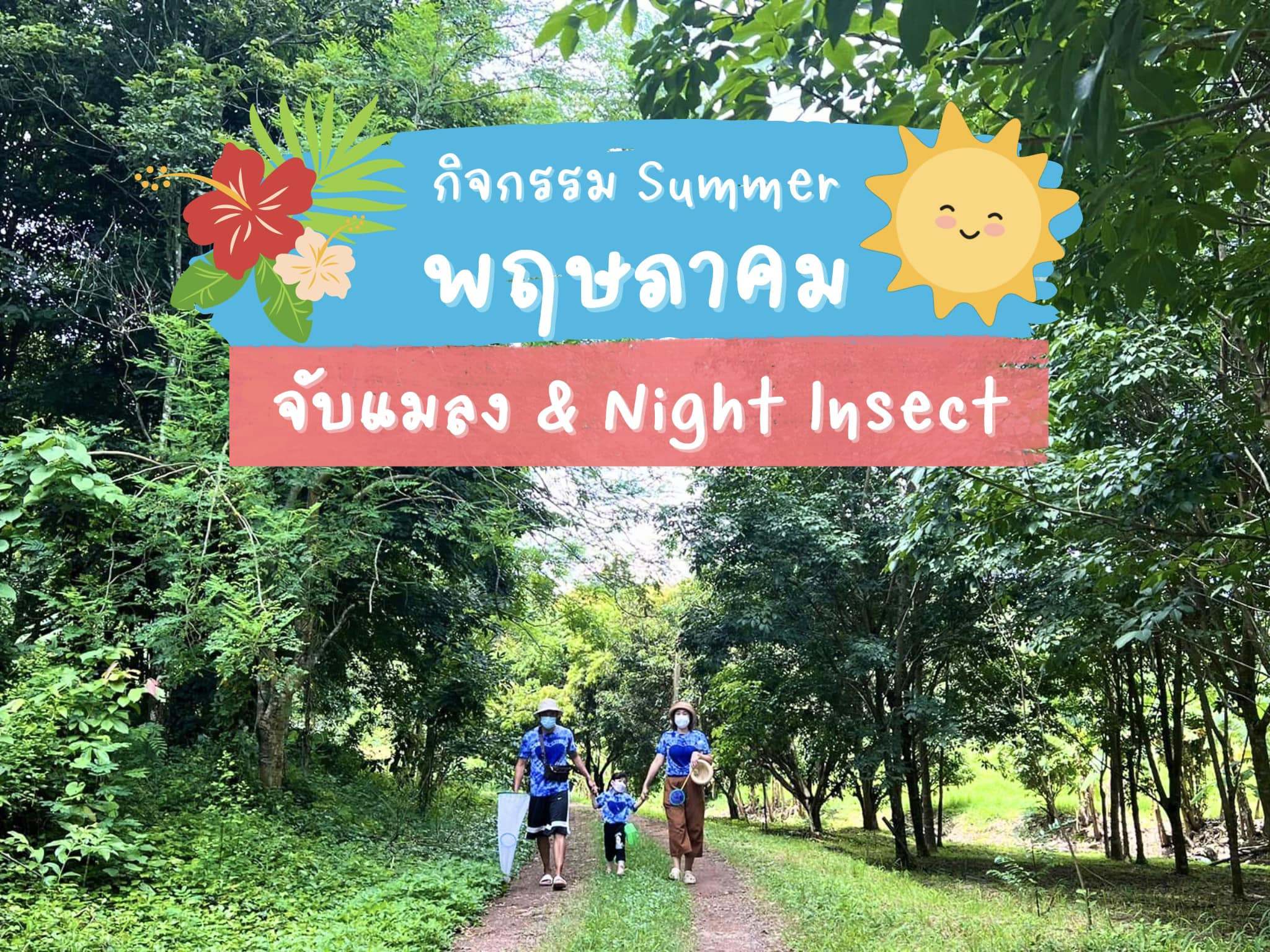 Summer Night Insect Camp Bangkok