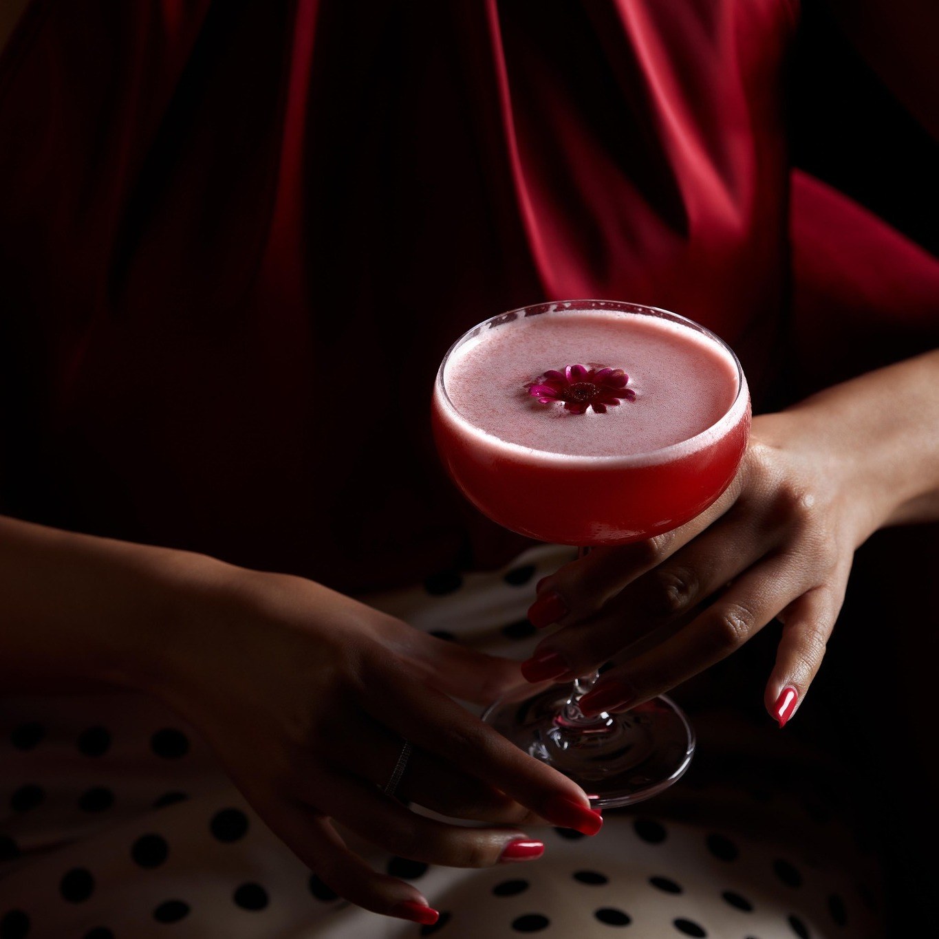 668486402 1399063575597579 5643813658320418834 n