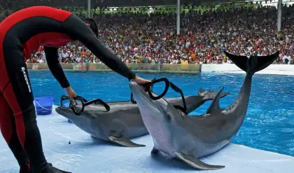 Safari World Bangkok