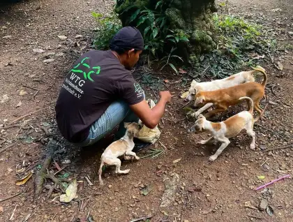 Five Conservation Sites and Sanctuaries in Bangkok for Volunteer Work