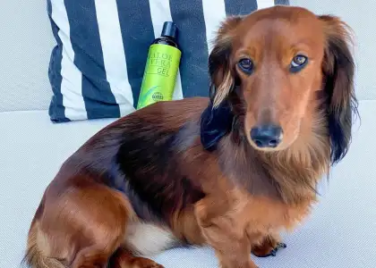 Seven Minerals Organic Aloe Vera Gel