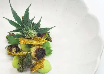 Empty Plates Bangkok