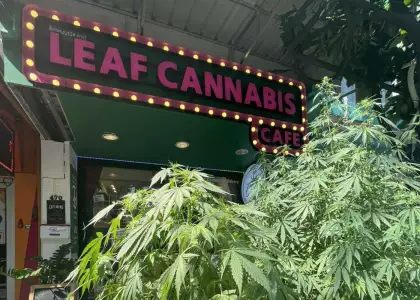 Leaf Cannabis Cafe