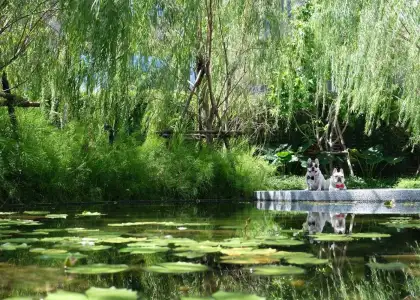 Kimpton Maa-Lai Bangkok