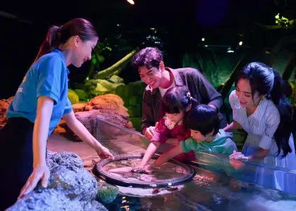The Ultimate Guide to SEA LIFE Bangkok Ocean World