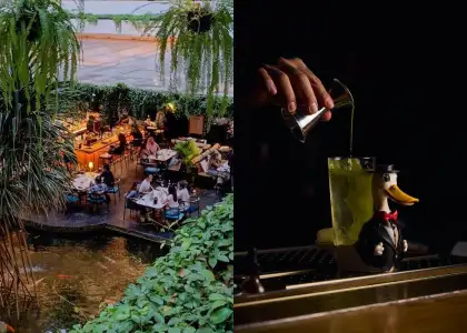 Aqua Bar Interior and Quill the Duck