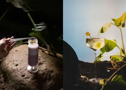 Moonlit Butterflies and Dew Drop Whisper cocktails at Aqua Bar