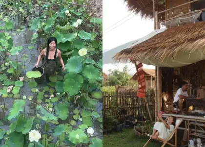 Yidan and Yidan's Farm